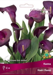 Калла Найт Лайф (темно-пурпурный, 1шт, 14-16)