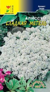 Алиссум Сладкая Метель аромат меда 0.1г Одн 25см (Цвет сад) Алиссум Сладкая Метель аромат меда 0.1г Одн 25см (Цвет сад)