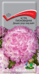 Астра Дюшес роуз энд вайт пион. (ЦВ)( Астра Дюшес роуз энд вайт пион. (ЦВ)(