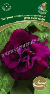 Петуния Дуо Бургунди 10шт. многоцв.махр. Поиск Петуния Дуо Бургунди 10шт. многоцв.махр. Поиск
