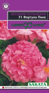Бегония Фортуна F1 Пинк клубневая махровая 4шт Комн 20см (Гавриш) Эксклюзив