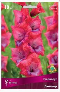 Гладиолус крупноцветковый Люмьер (ярко-розово-малиновый с нежно-лиловым пятном, 10шт, 110см,10-12)