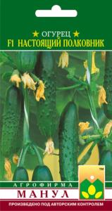Огурец Настоящий полковник F1,Парт,урож. Манул