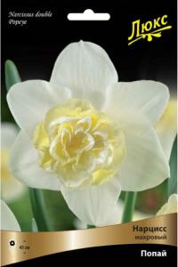Нарцисс Махровый Попай 3шт ( белый с желто-белой коронкой, 12-14, h40см) Нарцисс Махровый Попай 3шт ( белый с желто-белой коронкой, 12-14, h40см)