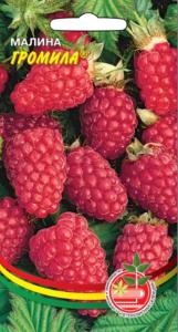 Малина Громила (ГС) 10шт (УД)