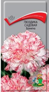 Гвоздика садовая Баэнигна 0,1г Мн 60см (Поиск)