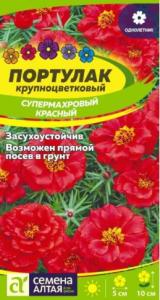 Скриншот 20-08-2026 133338