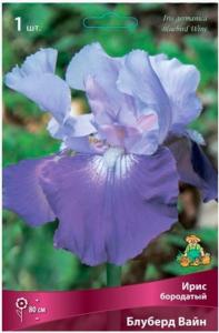 Ирис бородатый Блуберд Вайн (70см, сочетание нижних фиолетовых лепестков с нежно-лавандовы, 1шт)