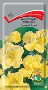 Настурция большая Лунный блик (ЦВ) (