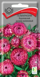 Гелихризум Королевский размер Малиновый 0,1г Сухоцвет Одн 100см (Поиск)