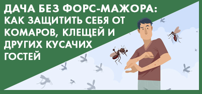 Дача без форс-мажора: как защитить себя от комаров, клещей и других кусачих гостей