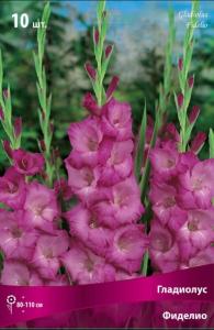 Гладиолус крупноцветковый Фиделио 10шт (фиолетовый, 10/12, h110см)