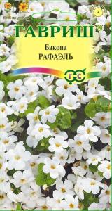 Бакопа Рафаэль ампельная 3шт Одн 60см (Гавриш)