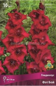 Гладиолус Фэт Бой 10-12 10шт.