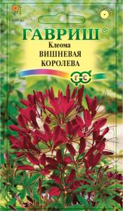 Клеома Вишневая королева 0,3г Гавриш