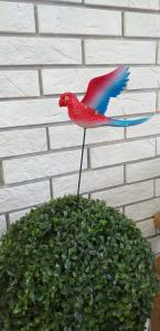 Штекер Попугай BK-197 H60, 22*17 см