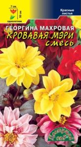 Георгина Кровавая Мэри махровая 0,2г Одн 50см (Цвет сад)