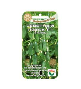Огурец Северный поток F1 7шт Парт Ранн (Сиб сад)