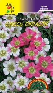 Камнеломка Смесь окрасов Цвет.сад.
