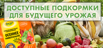Доступные подкормки для будущего урожая