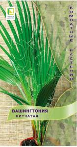 Вашингтония Нитчатая (ЦВ) (