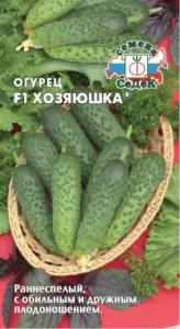 Огурец Хозяюшка F1 (Седек)