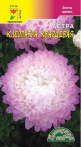 Астра Клеопатра Кварцевая Цвет.сад.