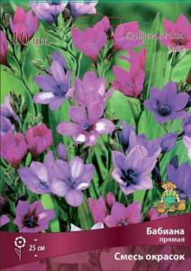 Бабиана прямая смесь окрасок 10шт (звёздчатые пурпурных, фиолетовых, лиловых оттенков, 5+/К )