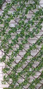 Решетка раздвижная зеленая (плотная) BK-222