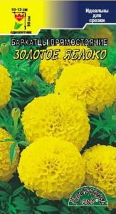 Бархатцы пр.Золотое яблоко, крпнцв. Цвет.Сад