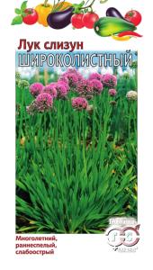 Лук слизун Широколистный 0,5г. Гавриш