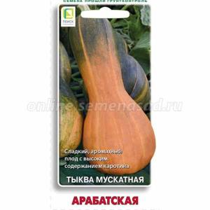 Тыква Арабатская мускатная 10шт Ср (Поиск)