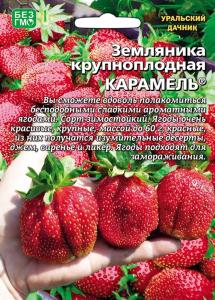 Земляника Карамель крупноплодная (УД)