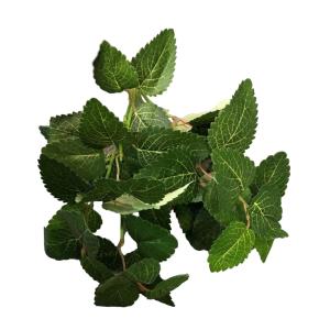 Иск.цветы Колеус зеленый