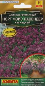 Алиссум Норт фэйс лавендер каскадный 10шт Одн 15см (Аэлита)