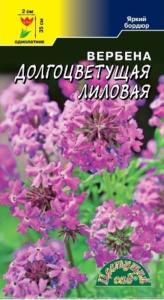 Вербена Долгоцветущая Лиловая (Цвет сад) Вербена Долгоцветущая Лиловая (Цвет сад)