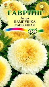 Астра Пампушка сливочная 0,3г Одн 50см (Гавриш)