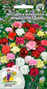 Гвоздика Яркий Праздник махровая Одн 45см (УД)