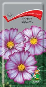 Космея Карусель (ЦВ) (