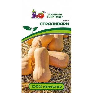 страдивари