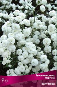 Тысячелистник птармика Вайт Перл 1шт