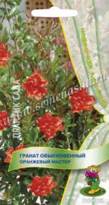 Гранат обыкновенный Оранжевый мастер (ЦВ) (