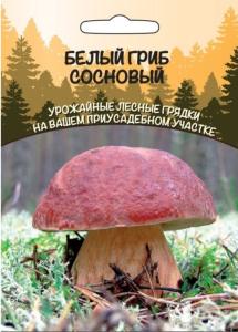 Мицелий Белый гриб Березовый (ССПК) Б-Ф