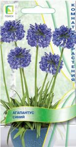 Агапантус Синий 3шт Мн (Поиск) Агапантус Синий 3шт Мн (Поиск)