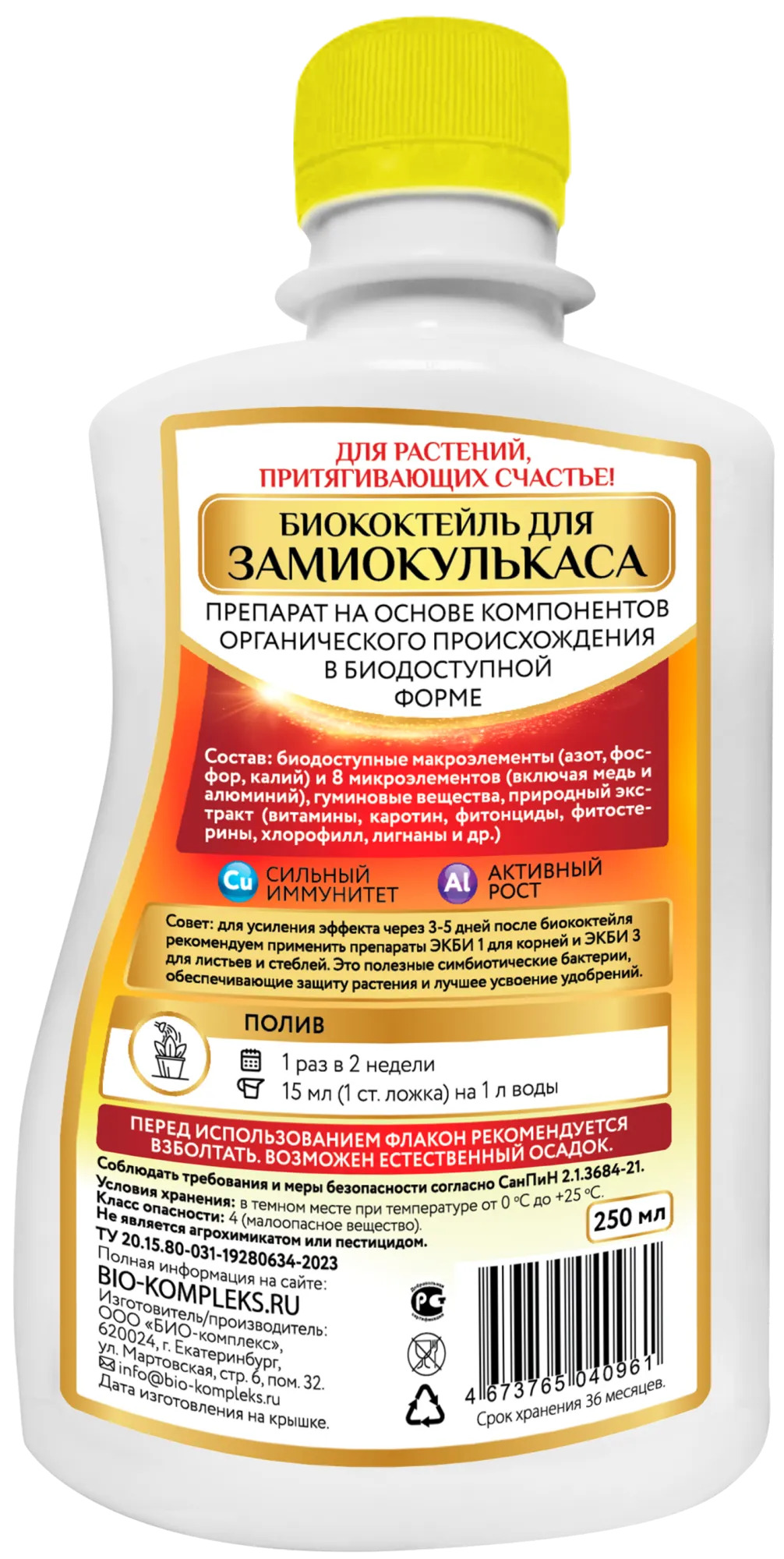 Замиокулькас зад