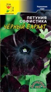 Петуния Софистика черный бархат Цвет сад