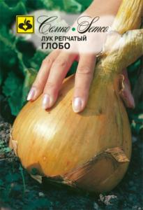 Лук репч. Глобо Семко F1