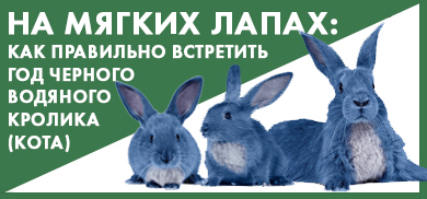 На мягких лапах: как правильно встретить год Черного Водяного Кролика (Кота) На мягких лапах: как правильно встретить год Черного Водяного Кролика (Кота)
