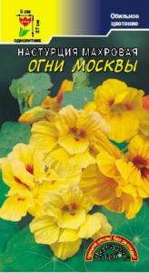 Настурция Огни Москвы ,МАХР. Цвет.Сад Настурция Огни Москвы ,МАХР. Цвет.Сад