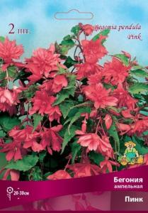 Бегония ампельная Пинк 2шт.4-5